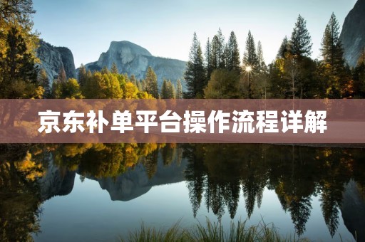 京东补单平台操作流程详解