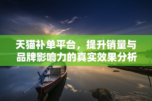 天猫补单平台，提升销量与品牌影响力的真实效果分析