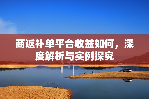 商返补单平台收益如何，深度解析与实例探究