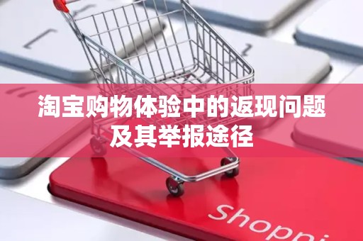 淘宝购物体验中的返现问题及其举报途径