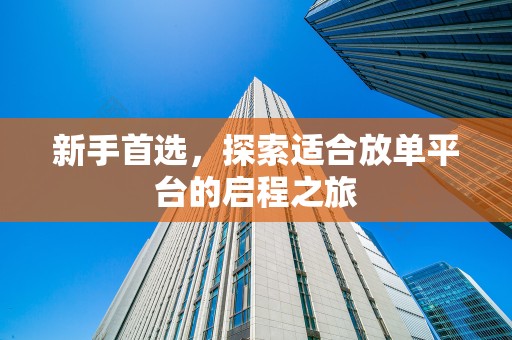 新手首选，探索适合放单平台的启程之旅