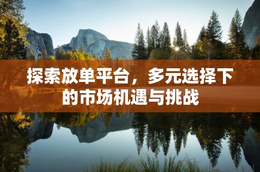 探索放单平台，多元选择下的市场机遇与挑战