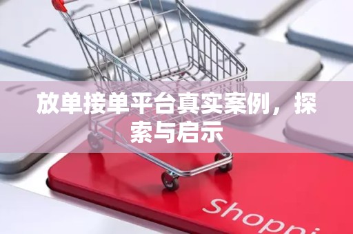 放单接单平台真实案例，探索与启示