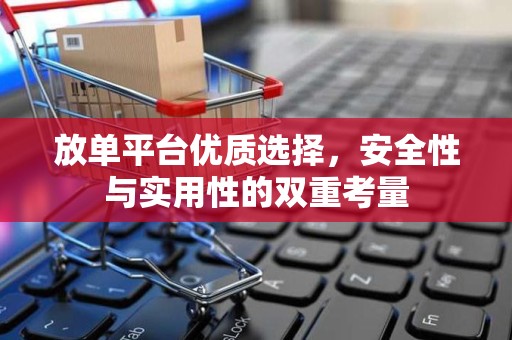 放单平台优质选择，安全性与实用性的双重考量