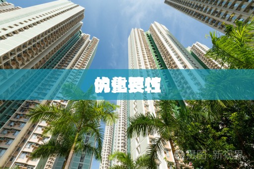 优化技巧
的重要性