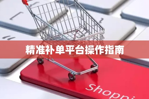 精准补单平台操作指南