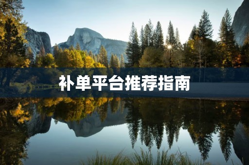 补单平台推荐指南