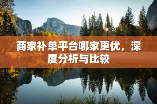 商家补单平台哪家更优，深度分析与比较