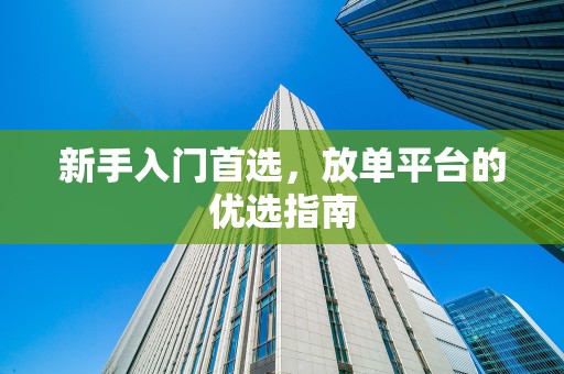 新手入门首选，放单平台的优选指南