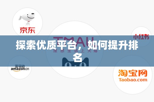 探索优质平台，如何提升排名