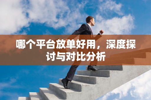 哪个平台放单好用，深度探讨与对比分析