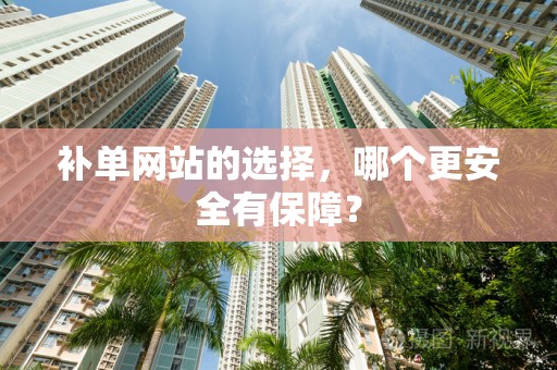 补单网站的选择，哪个更安全有保障？
