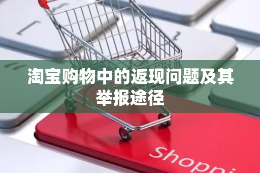 淘宝购物中的返现问题及其举报途径