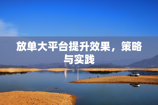 放单大平台提升效果，策略与实践