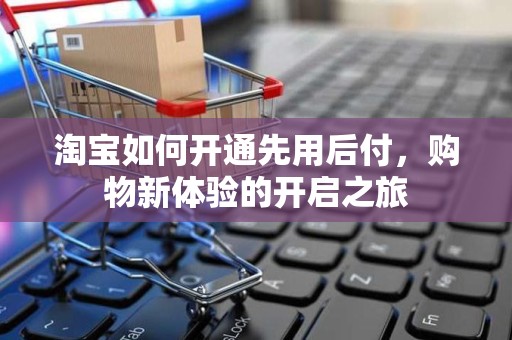 淘宝如何开通先用后付，购物新体验的开启之旅