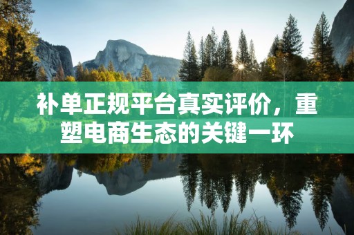 补单正规平台真实评价，重塑电商生态的关键一环