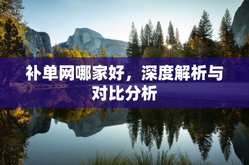 补单网哪家好，深度解析与对比分析