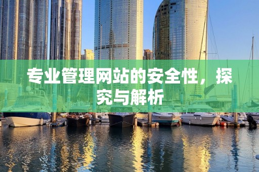 专业管理网站的安全性，探究与解析