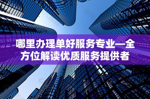 哪里办理单好服务专业—全方位解读优质服务提供者