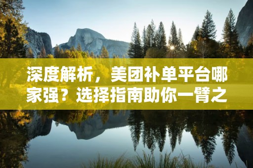 深度解析，美团补单平台哪家强？选择指南助你一臂之力