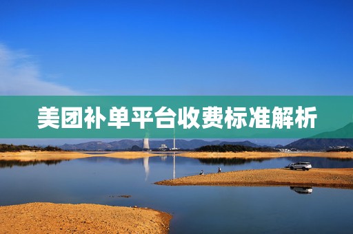 美团补单平台收费标准解析