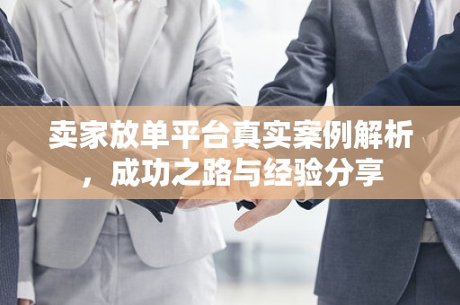 卖家放单平台真实案例解析，成功之路与经验分享