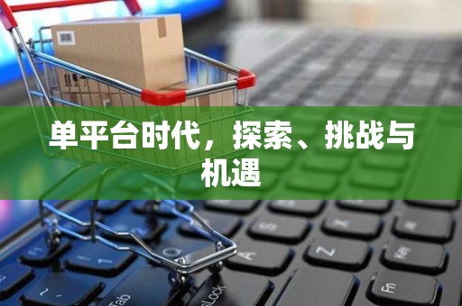 单平台时代，探索、挑战与机遇