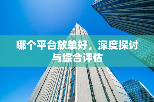 哪个平台放单好，深度探讨与综合评估