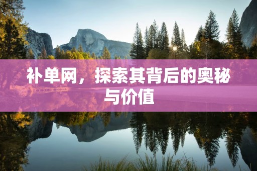 补单网，探索其背后的奥秘与价值
