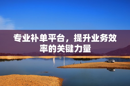 专业补单平台，提升业务效率的关键力量