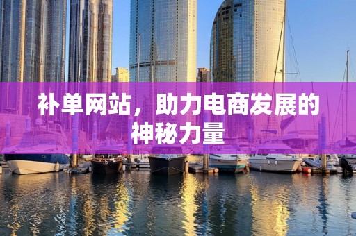 补单网站，助力电商发展的神秘力量