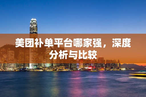 美团补单平台哪家强，深度分析与比较