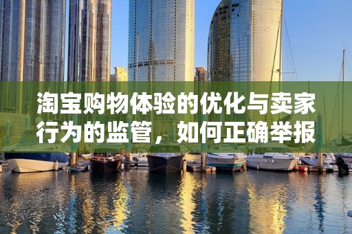 淘宝购物体验的优化与卖家行为的监管，如何正确举报卖家