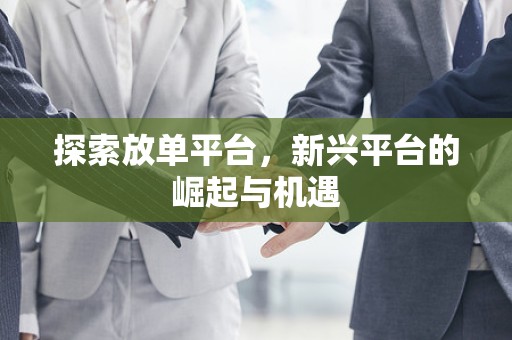 探索放单平台，新兴平台的崛起与机遇