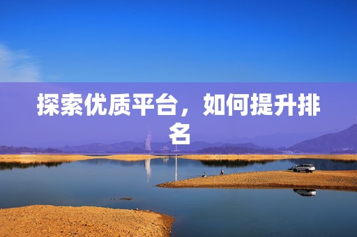 探索优质平台，如何提升排名