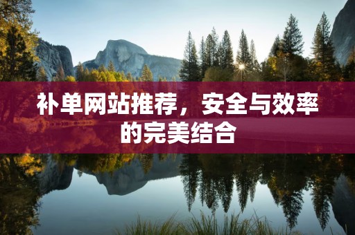 补单网站推荐，安全与效率的完美结合