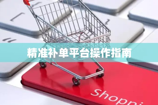 精准补单平台操作指南