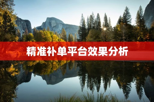 精准补单平台效果分析