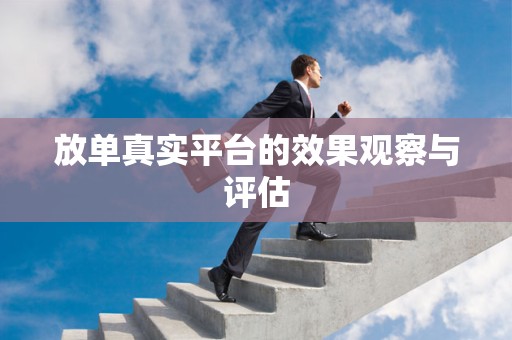 放单真实平台的效果观察与评估