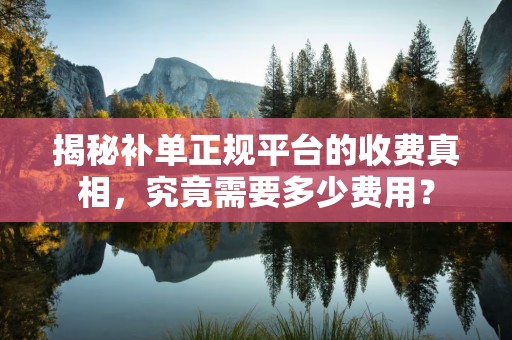 揭秘补单正规平台的收费真相，究竟需要多少费用？