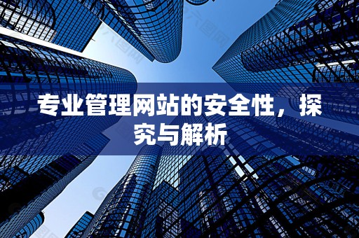 专业管理网站的安全性，探究与解析