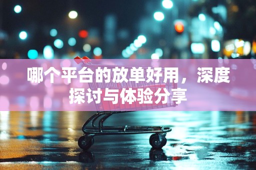哪个平台的放单好用，深度探讨与体验分享