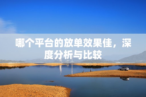 哪个平台的放单效果佳，深度分析与比较