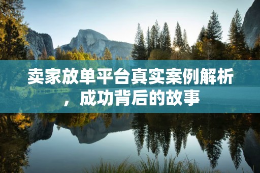 卖家放单平台真实案例解析，成功背后的故事