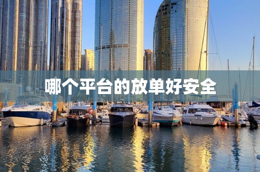 哪个平台的放单好安全