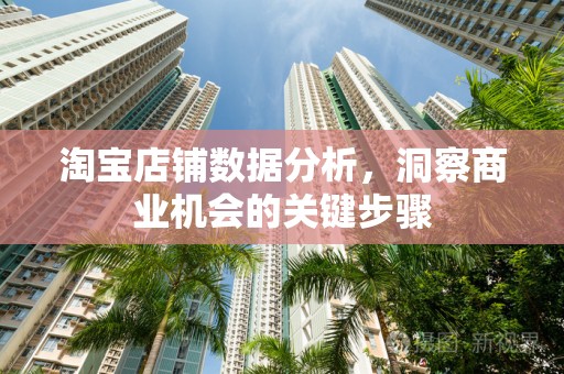 淘宝店铺数据分析，洞察商业机会的关键步骤