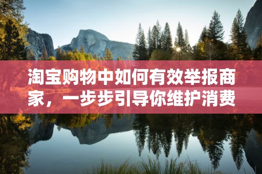 淘宝购物中如何有效举报商家，一步步引导你维护消费者权益