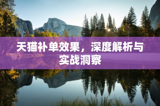 天猫补单效果，深度解析与实战洞察