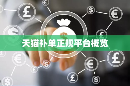天猫补单正规平台概览
