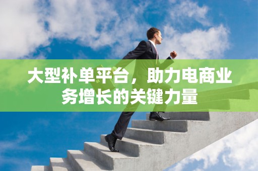 大型补单平台，助力电商业务增长的关键力量